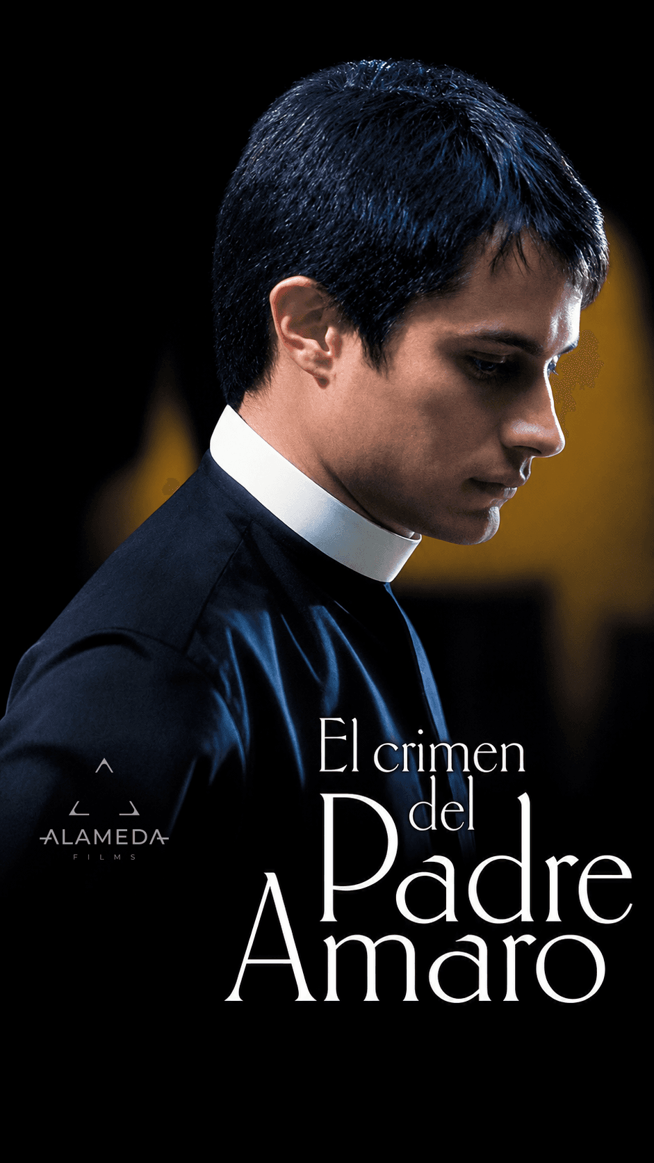 El crimen del Padre Amaro